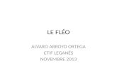 LE FLÉO ALVARO ARROYO ORTEGA CTIF LEGANÉS NOVEMBRE 2013.