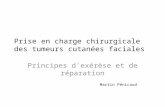 Prise en charge chirurgicale des tumeurs cutanées faciales Principes dexérèse et de réparation Martin Pénicaud.