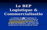 Le BEP Logistique & Commercialisation Le titulaire du BEP logistique et commercialisation intervient dans le processus d'acheminement et de commercialisation.
