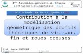 4 ème Assemblée générale du Réseau Carthagène dIngénierie (RCI) Contribution à la modélisation géométrique des profils théoriques de vis sans fin et roues.