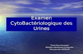 Examen CytoBactériologique des Urines Thanh Doco-Lecompte Maladies Infectieuses et tropicales 2ème journée CISPRILOR.