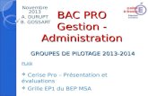 BAC PRO Gestion - Administration GROUPES DE PILOTAGE 2013-2014 Novembre 2013 A. DURUPT B. GOSSART PLAN Cerise Pro – Présentation et évaluations Grille.