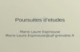 Poursuites detudes Marie-Laure Espinouse Marie-Laure.Espinouse@ujf-grenoble.fr.