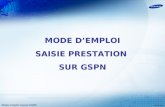 Mode Emploi Saisie GSPN MODE DEMPLOI SAISIE PRESTATION SUR GSPN 29.05.2009.