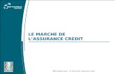 BNP Paribas Factor – le marché de lassurance crédit LE MARCHE DE LASSURANCE CREDIT.