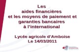 BGC, CCI CI 02/06/08 Les aides financières et les moyens de paiement et garanties bancaires à linternational Lycée agricole dAmboise Le 14/03/2011.