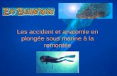 Les accident et anatomie en plongée sous marine à la remontée.
