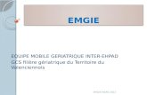 EQUIPE MOBILE GERIATRIQUE INTER-EHPAD GCS filière gériatrique du Territoire du Valenciennois EMGIE MARS 2012.