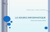 L A SOURIS INFORMATIQUE Mouse story Mousse costaud MOULIN Julien – Master 2 CHM GIIPS.