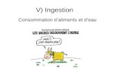 V) Ingestion Consommation daliments et deau. 5.1) Régulation de la consommation.