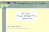 KIN 1720 Intégration perceptivomotrice Professeur Réjean DUBUC, Ph.D. Local SB4605 dubuc.rejean@uqam.ca