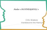 Atelier « BIOTHERAPIES » CHU Brabois Vandoeuvre-les-Nancy.