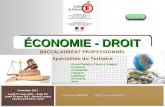 ÉCONOMIE - DROIT BACCALAURÉAT PROFESSIONNEL Spécialités du Tertiaire - Accueil Relation Clients et Usagers - Commerce - Comptabilité - Transport - Logistique.