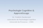 Psychologie Cognitive & Apprentissage Dr. Frédéric Dandurand Laboratoire de Psychologie Cognitive Université de Provence – CNRS.