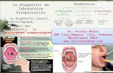 Le diagnostic de laboratoire Streptococcus I. Le diagnostic direct, bactériologique: Le recueil des prélèvements - le prélèvement oropharyngien.