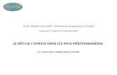 Etude Méditerranée 2030 : séminaire de prospective sur lemploi Gammarth, Tunisie 20-21 novembre 2009 LE DÉFI DE LEMPLOI DANS LES PAYS MÉDITERRANÉENS Dr.