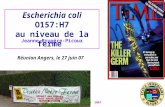 Angers, 27 juin 2007 Escherichia coli O157:H7 au niveau de la ferme Jeanne Brugère-Picoux Réunion Angers, le 27 juin 07.