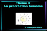 Thème 4 La procréation humaine S. Pontégnie-Istace.