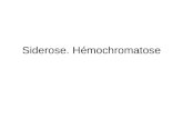 Siderose. Hémochromatose. Généralités Les différentes surcharges en fer 1.La sidérose localisée 2.Lhémosidérose secondaire multiviscérale 3.Lhémochromatose.