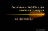 Jean-Michel ALIMI Formation « ab-initio » des structures cosmiques Le Projet STEP.