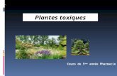 Cours de 5 ème année Pharmacie Plantes toxiques 1. Introduction 2. Classification selon le principe actif 3. Principales plantes toxiques en Algérie.