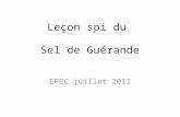 Leçon spi du Sel de Guérande EPEC juillet 2011. Utilisation de lespace par les salines.