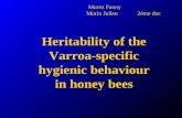 Murez Fanny Morin Julien 2ème doc Heritability of the Varroa-specific hygienic behaviour in honey bees.