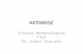 ARTHROSE Clinica Reumatologica Cluj Dr. Simon Siao-pin.