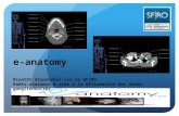 E-anatomy Bientôt disponible via la SFjRO Radio-anatomie & aide à la délinéation des aires ganglionnaires.