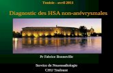 Diagnostic des HSA non-anévrysmales Pr Fabrice Bonneville Service de Neuroradiologie CHU Toulouse Tunisie - avril 2011.