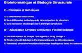 Bioinformatique et Biologie Structurale I/ – Principes et techniques A/ Linformation structurale B/ Les différentes techniques de détermination de structure.