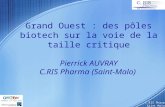 C.RIS Pharma Saint Malo Grand Ouest : des pôles biotech sur la voie de la taille critique Pierrick AUVRAY C.RIS Pharma (Saint-Malo)