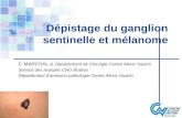 Dépistage du ganglion sentinelle et mélanome F. MARCHAL & Département de Chirurgie Centre Alexis Vautrin Service des Isotopes CHU Brabois Département danatomo-pathologie.