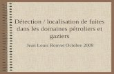 Détection / localisation de fuites dans les domaines pétroliers et gaziers Jean Louis Rouvet Octobre 2009.