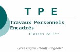 T P E Lycée Eugène Hénaff - Bagnolet Travaux Personnels Encadrés Classes de 1 ère.
