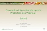 Convention Internationale pour la Protection des Vegetaux (2014) Ana Maria Peralta IPPC Capacity Development Officer IPPC Secretariat.