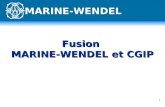 1 Fusion MARINE-WENDEL et CGIP MARINE-WENDEL. 2 Participation de MARINE-WENDEL à lOPRA CGIP 3 200 000 actions x 44 = 141 M d Rachat par MARINE-WENDEL.