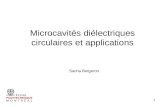 1 Microcavités diélectriques circulaires et applications Sacha Bergeron.