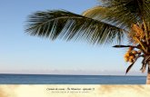 Carnet de route : Île Maurice - épisode II Un autre coucher de soleil sous les cocotiers.