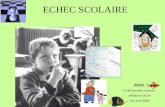 ECHEC SCOLAIRE ADSL Dr MChristine Veneau Médecin EN 94 1er avril 2008.