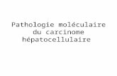 Pathologie moléculaire du carcinome hépatocellulaire.