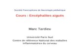 Société Francophone de Neurologie pédiatrique Cours : Encéphalites aiguës Marc Tardieu Université Paris Sud Centre de référence National des maladies inflammatoires.