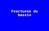 Fractures du bassin. Classification des fractures du bassin Fractures du bassin de type A –Parcellaires Fractures du bassin de type B –Rupture incomplète.