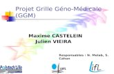 Projet Grille Géno-Médicale (GGM) Maxime CASTELEIN Julien VIEIRA Responsables : N. Melab, S. Cahon.