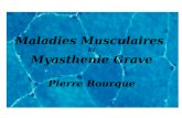 Maladies Musculaires Et Myasthenie Grave Pierre Bourque.