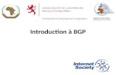 Introduction à BGP 1. Border Gateway Protocol Protocole de routage utilisé pour échanger des informations de routage entre les différents réseaux – Exterior.