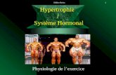 Didier Reiss1 Hypertrophie / Système Hormonal Physiologie de lexercice.