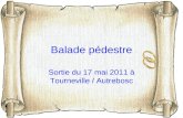 Balade pédestre Sortie du 17 mai 2011 à Tourneville / Autrebosc.