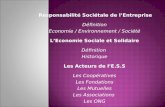 Responsabilité Sociétale de lEntreprise Définition Economie / Environnement / Société LEconomie Sociale et Solidaire Définition Historique Les Acteurs.