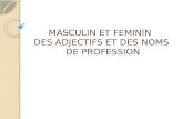 MASCULIN ET FEMININ DES ADJECTIFS ET DES NOMS DE PROFESSION.